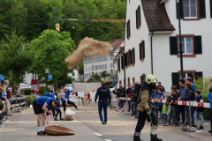 IMG_2763